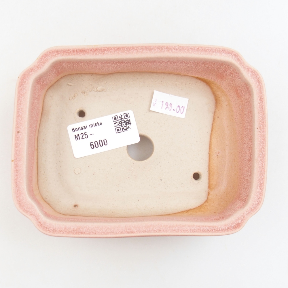 Bol à bonsaï en céramique 22 x 17 x 5 cm, vert