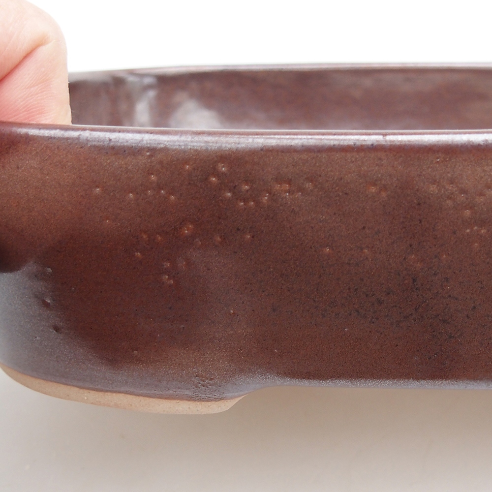 Bol à bonsaï en céramique 23 x 18,5 x 5,5 cm, brun