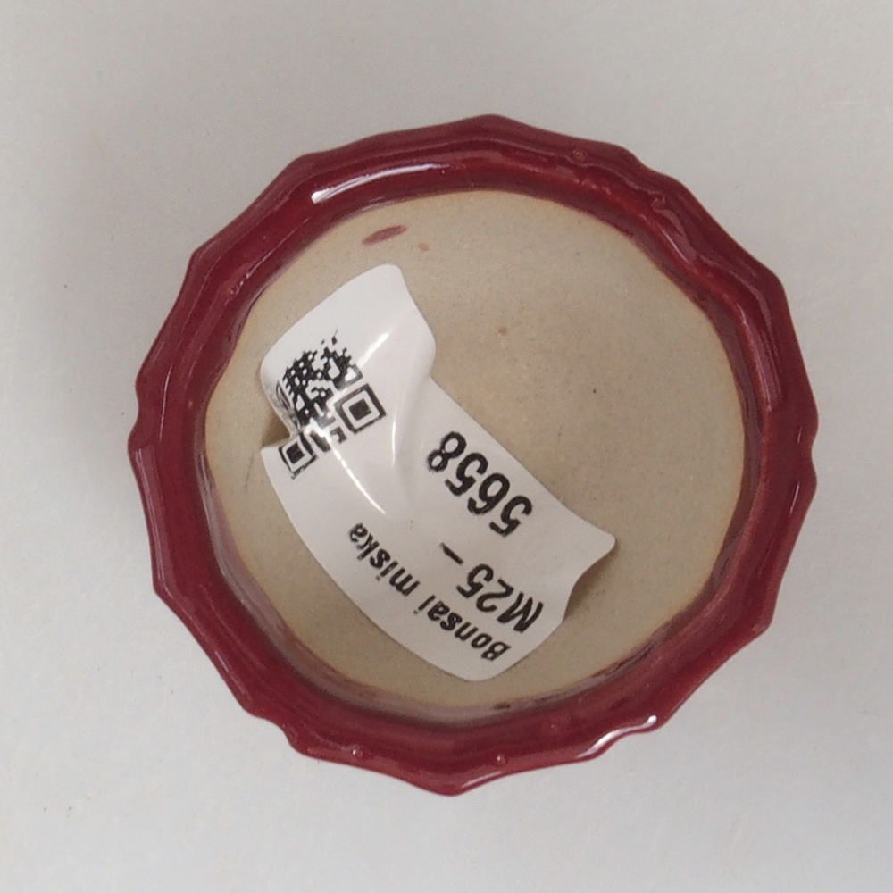Mini bol bonsaï 5 x 5 x 3 cm, bordeaux
