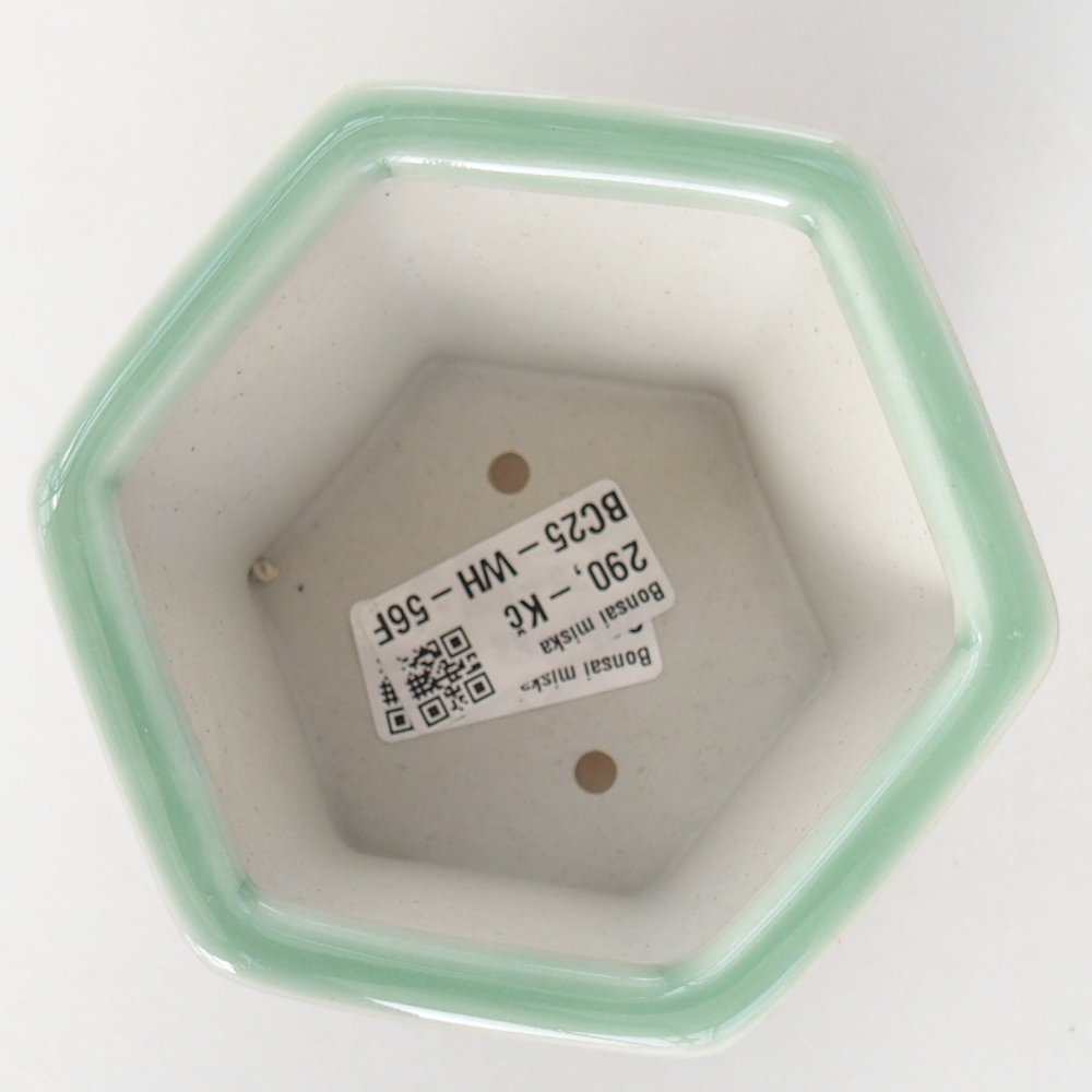 Bol à bonsaï en céramique 10,5 x 9,5 x 8,5 cm, vert