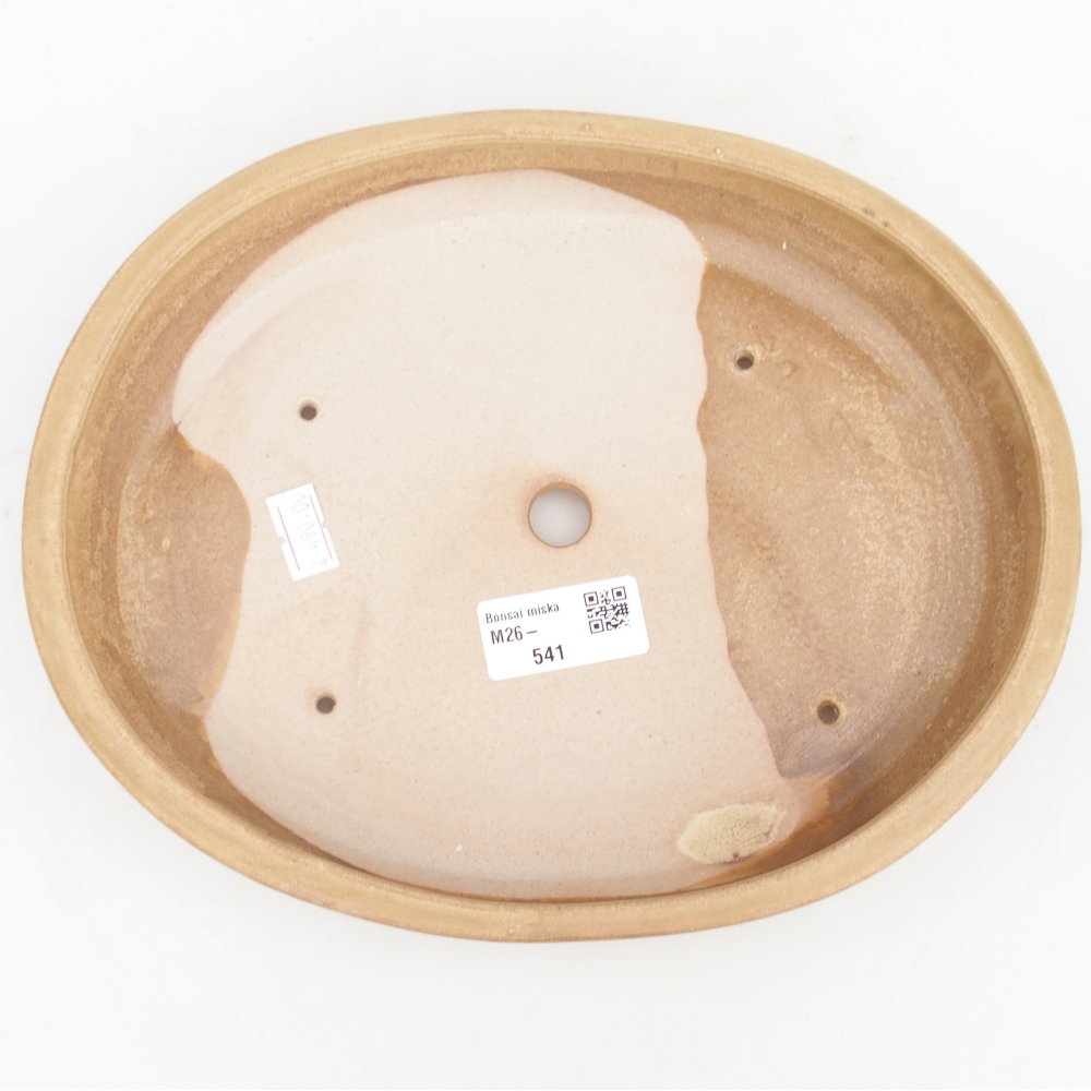 Bol à bonsaï en céramique 24,5 x 20 x 4 cm, couleur beige