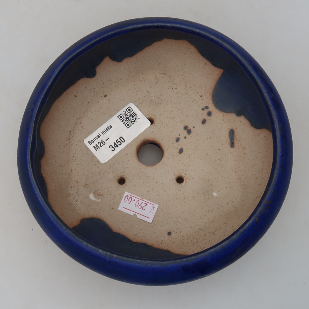 Pot à bonsaï en céramique 15 x 15 x 6,5 cm, couleur bleue