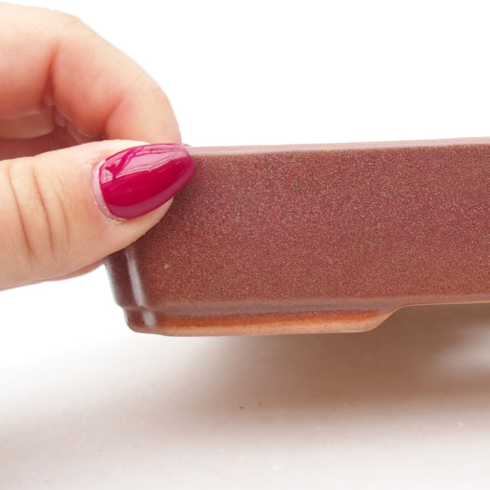 Bol à bonsaï en céramique 18 x 13 x 3 cm, bordeaux