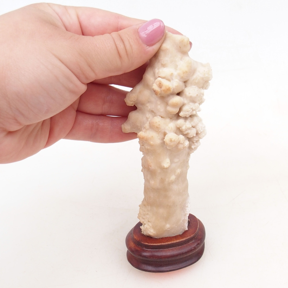 Suiseki - Pierre avec DAI (base en bois)