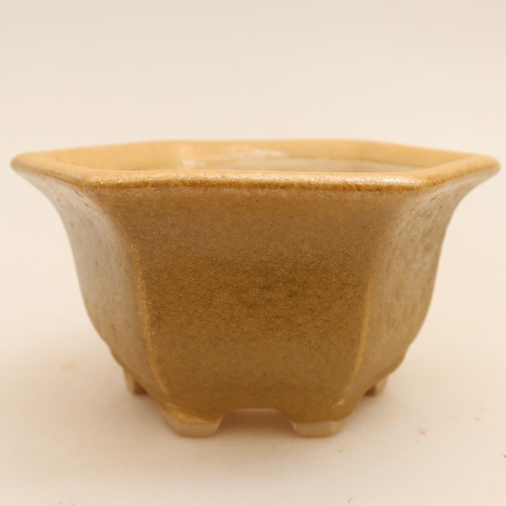Pot à bonsaï en céramique 10,5 x 9,5 x 5,5 cm, couleur beige