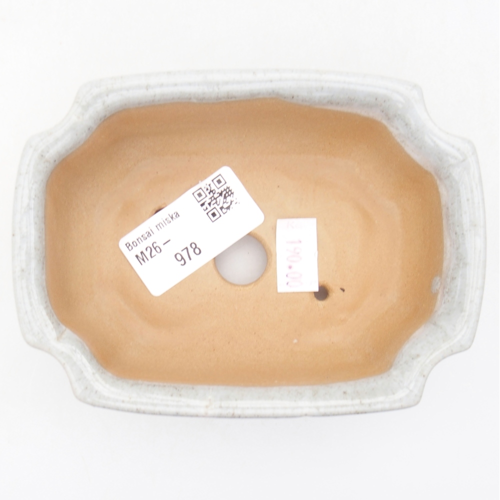 Bol à bonsaï en céramique 11,5 x 8,5 x 4 cm, couleur beige