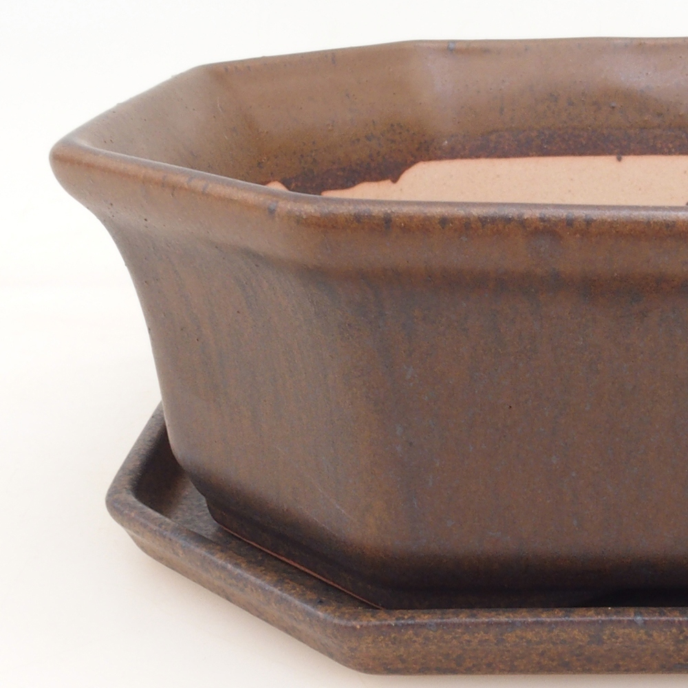 Bol Bonsaï + soucoupe H14 - brun