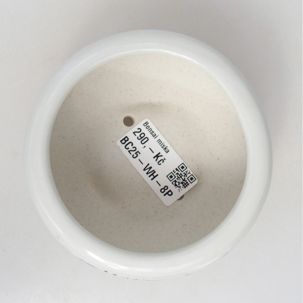 Bol à bonsaï en céramique 10 x 10 x 5 cm, couleur blanc