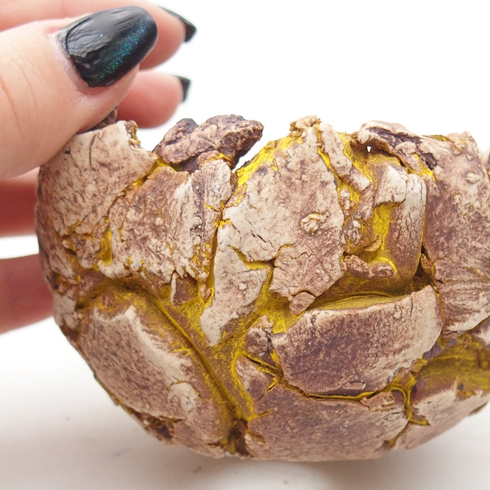 Coquille en céramique 9,5 x 9 x 7 cm , couleur jaune