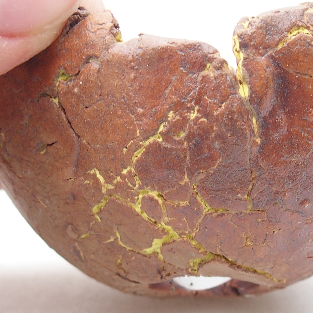 Coquille en céramique 7 x 6,5 x 4 cm , couleur jaune