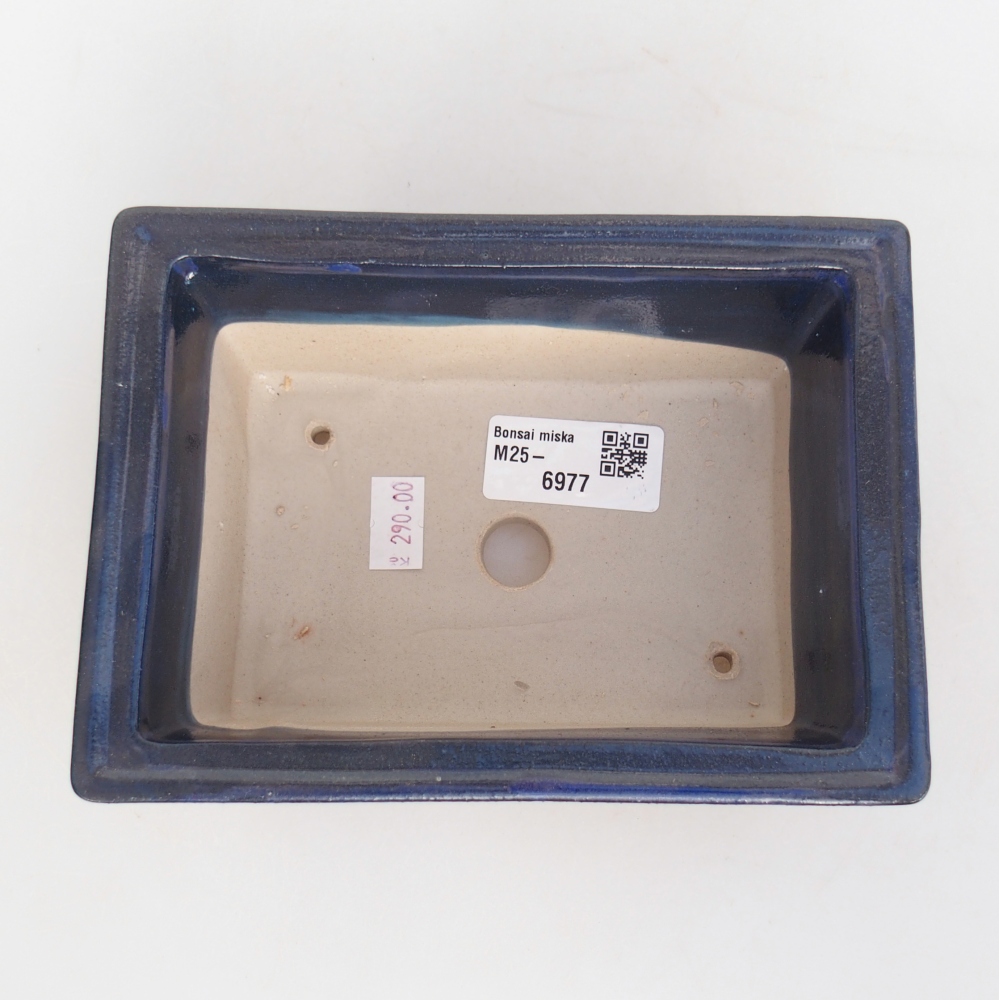 Bol à bonsaï en céramique 16 x 12 x 6 cm, couleur bleu