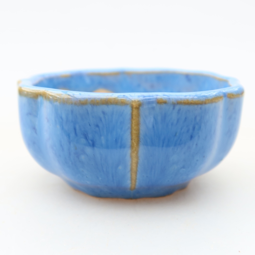 Pot à bonsaï en céramique 6 x 6 x 3 cm, couleur bleue