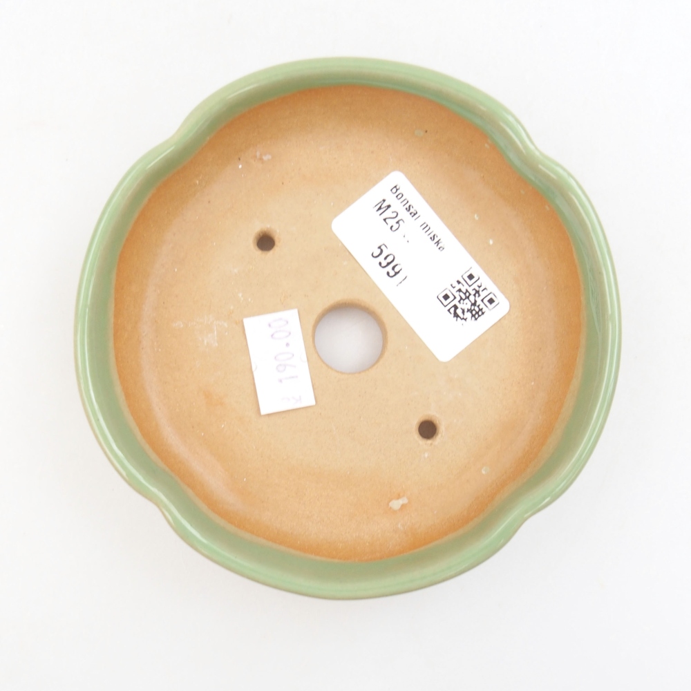 Bol à bonsaï en céramique 22 x 17 x 5 cm, vert