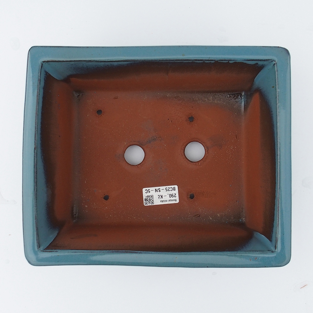 Bol 26 x 21,5 x 10 cm bleu