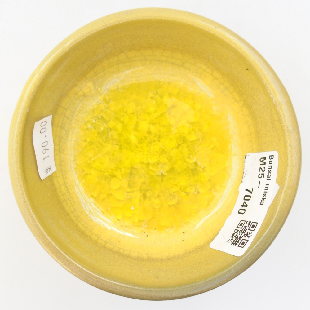 Bol à bonsaï en céramique 9,5 x 9,5 x 5 cm, jaune