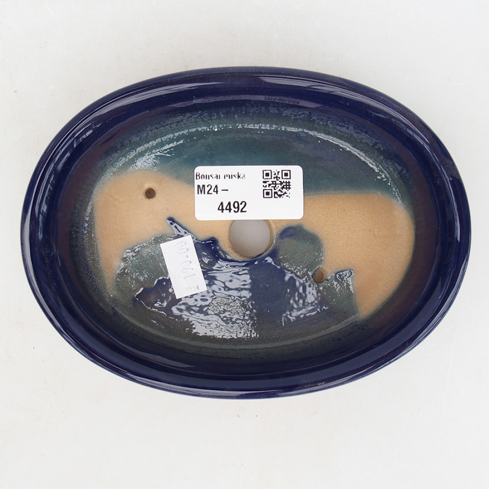 Bol à bonsaï en céramique 15 x 11 x 3,5 cm, couleur bleu