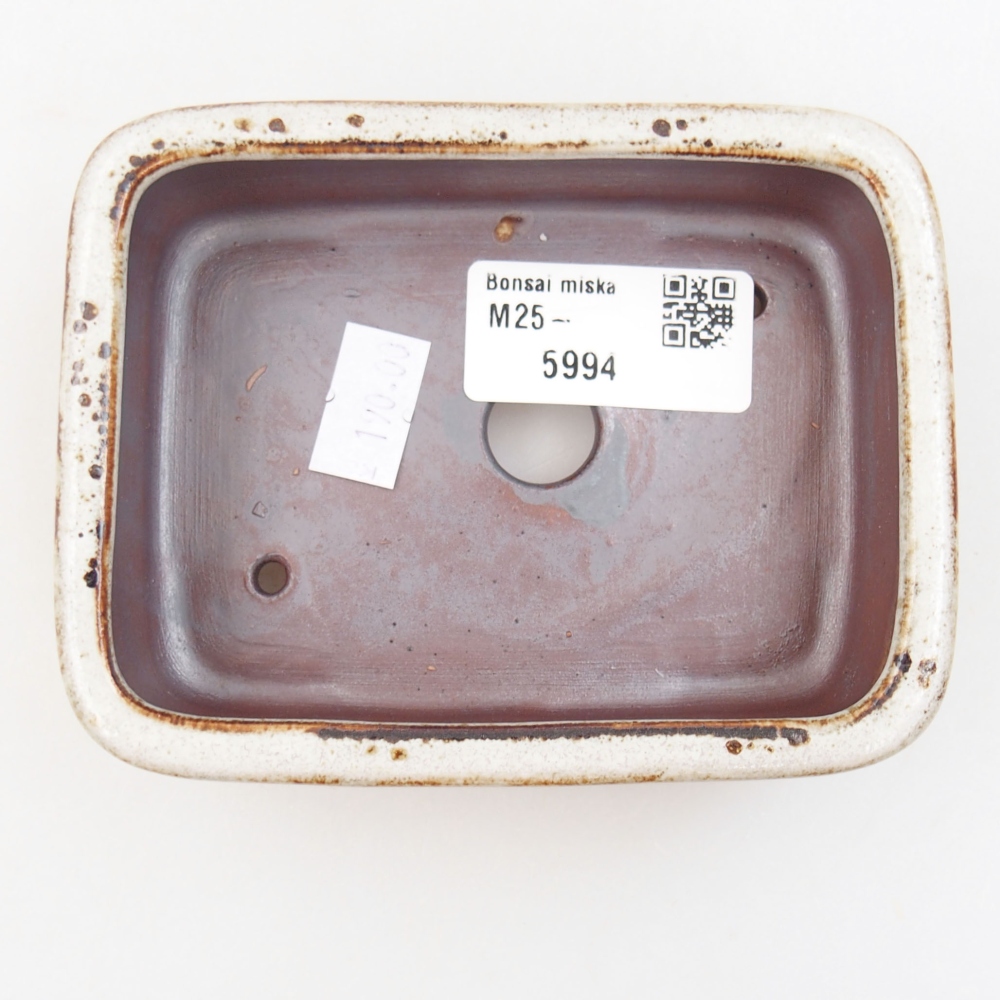 Bol à bonsaï en céramique 22 x 17 x 5 cm, vert