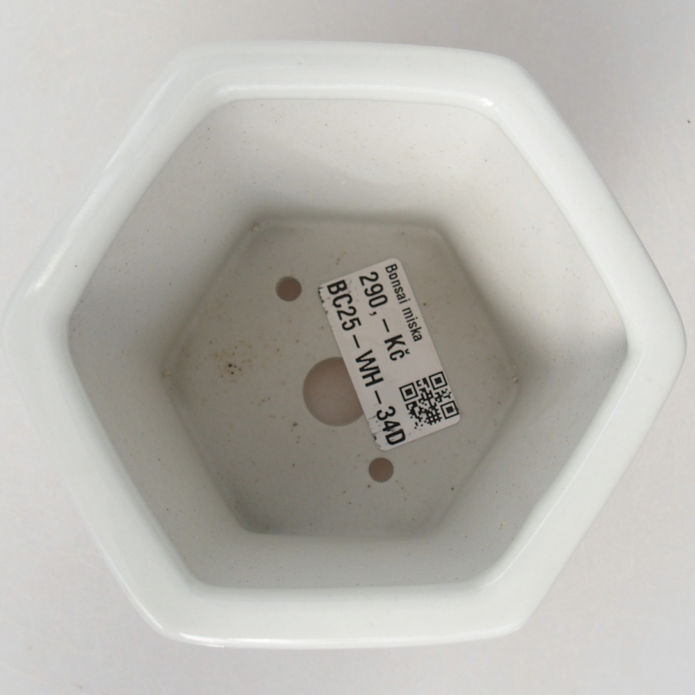 Bol à bonsaï en céramique 10,5 x 9,5 x 9 cm, couleur blanc