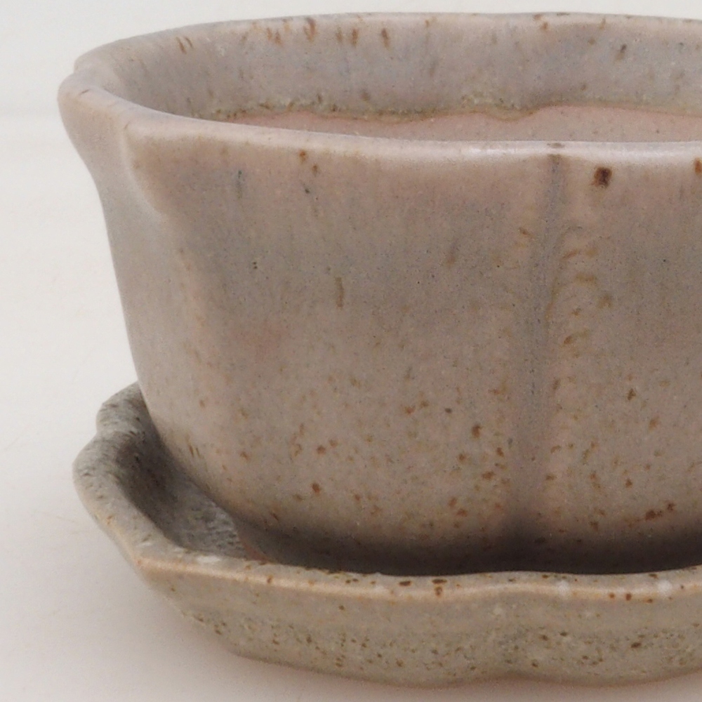 Bol Bonsaï + soucoupe H95 - beige