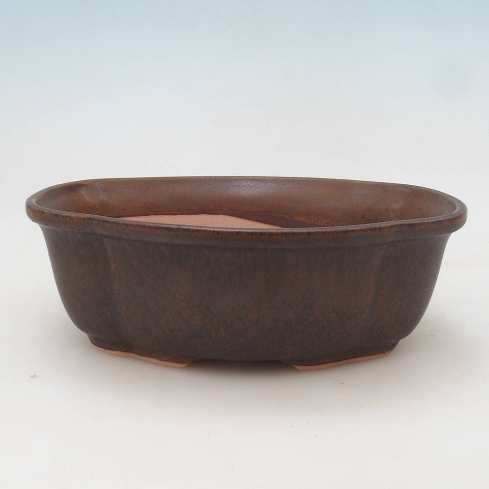Bol à bonsaï H75 - 19 x 14 x 6,5 cm - brun