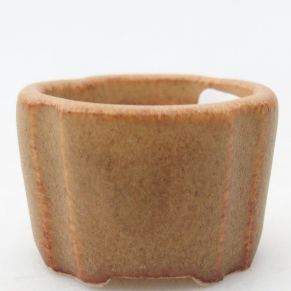 Mini bol bonsaï 3,5 x 3,5 x 2,5 cm, brun