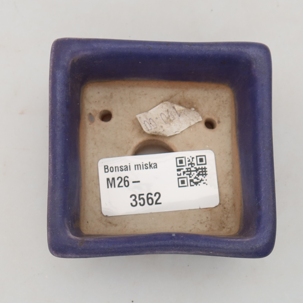 Pot à bonsaï en céramique 7 x 7 x 3,5 cm, couleur violette
