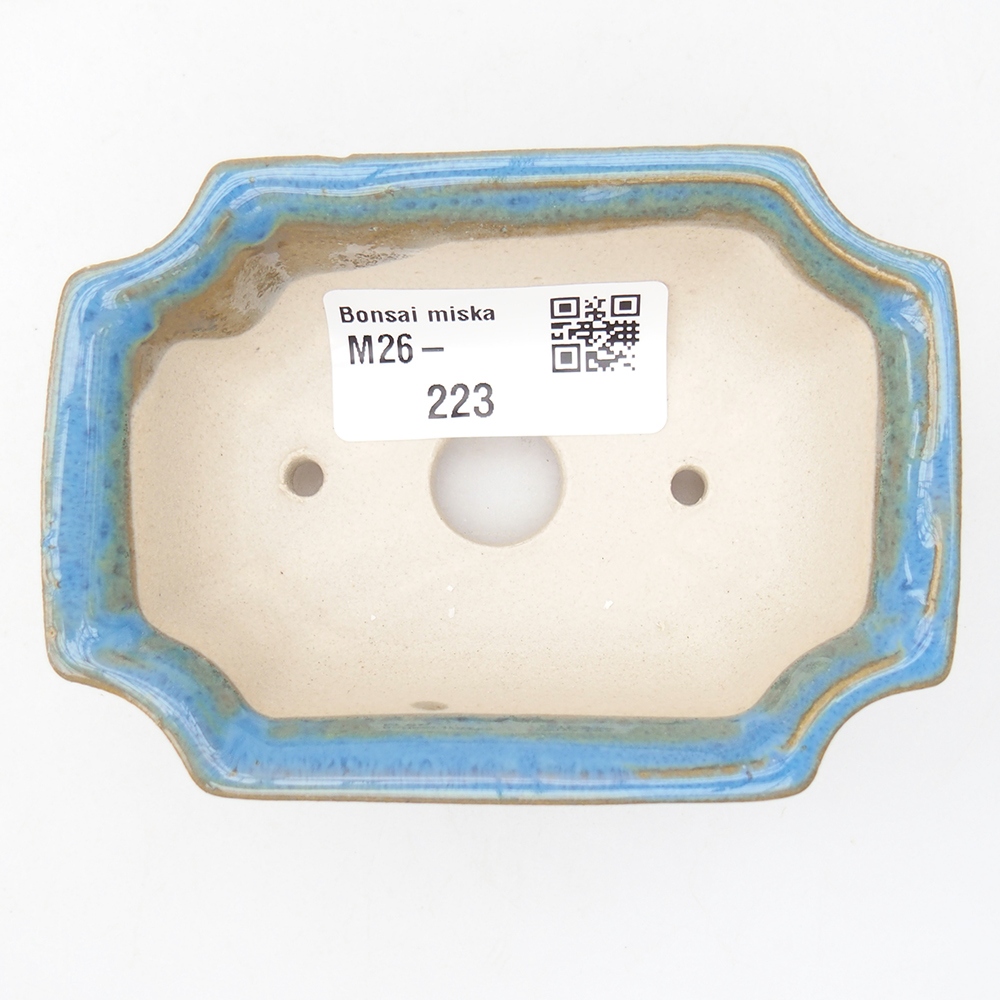 Mini bol bonsaï 9 x 6,5 x 3,5 cm, couleur bleu