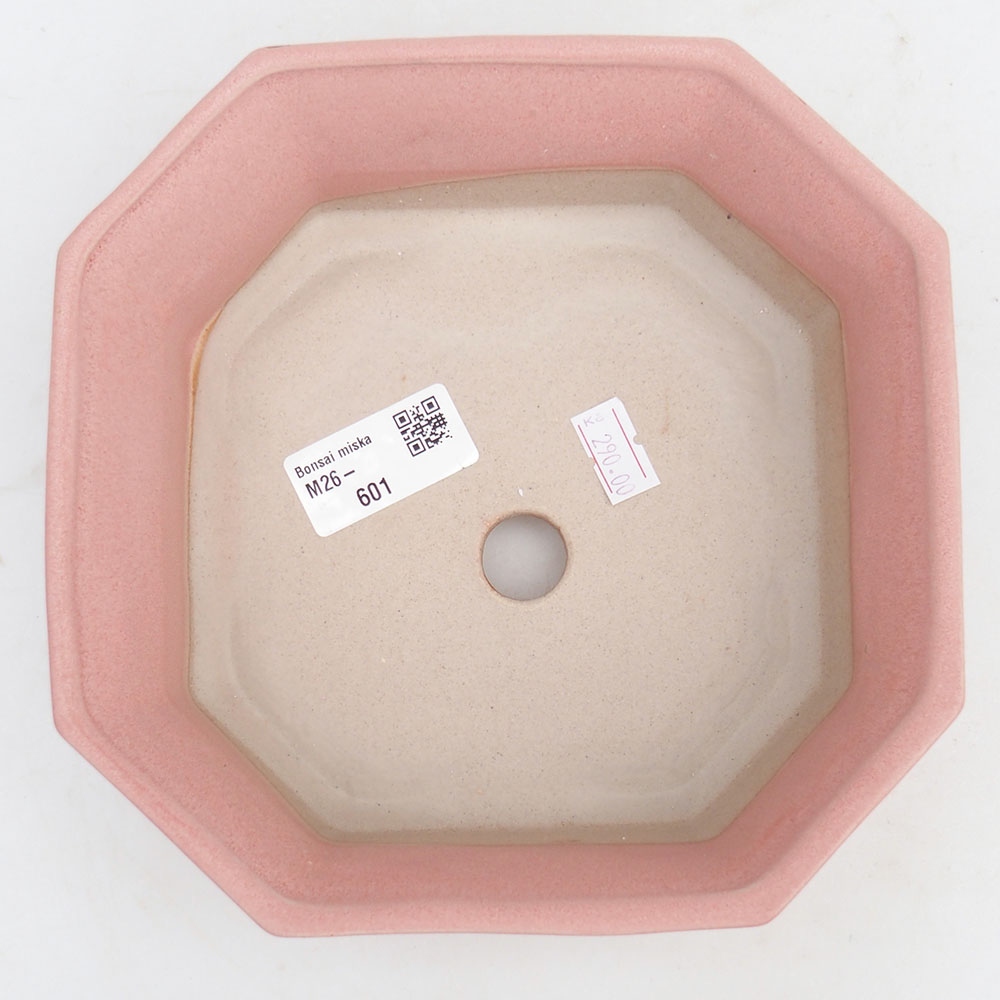 Bol à bonsaï en céramique 17,5 x 17,5 x 6 cm, rose