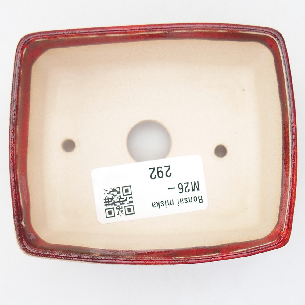 Mini bol bonsaï 9 x 7,5 x 3,5 cm, couleur rouge