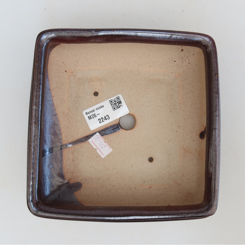 Bol à bonsaï en céramique 15,5 x 15,5 x 6 cm, brun