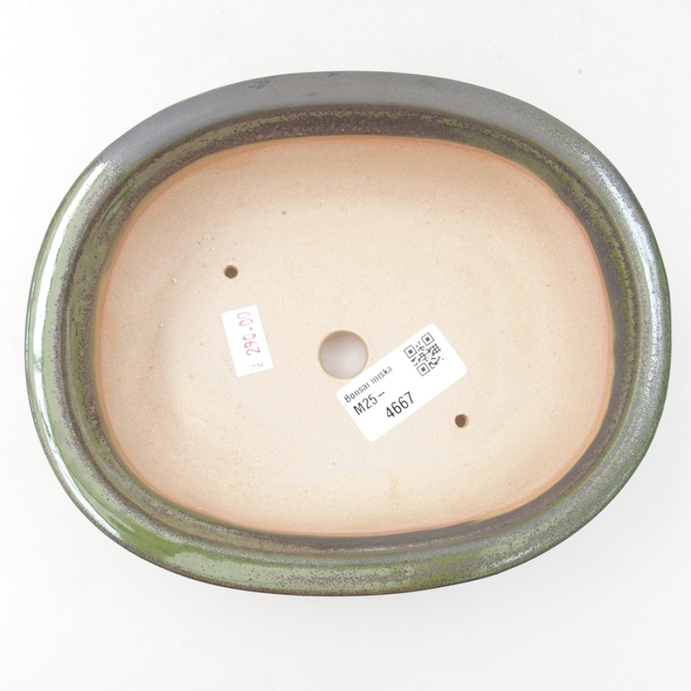 Bol à bonsaï en céramique 18 x 14,5 x 6 cm, vert