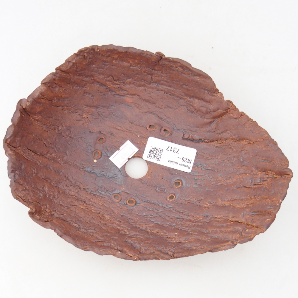 Coquille en céramique 20 x 15 x 6 cm , couleur marron