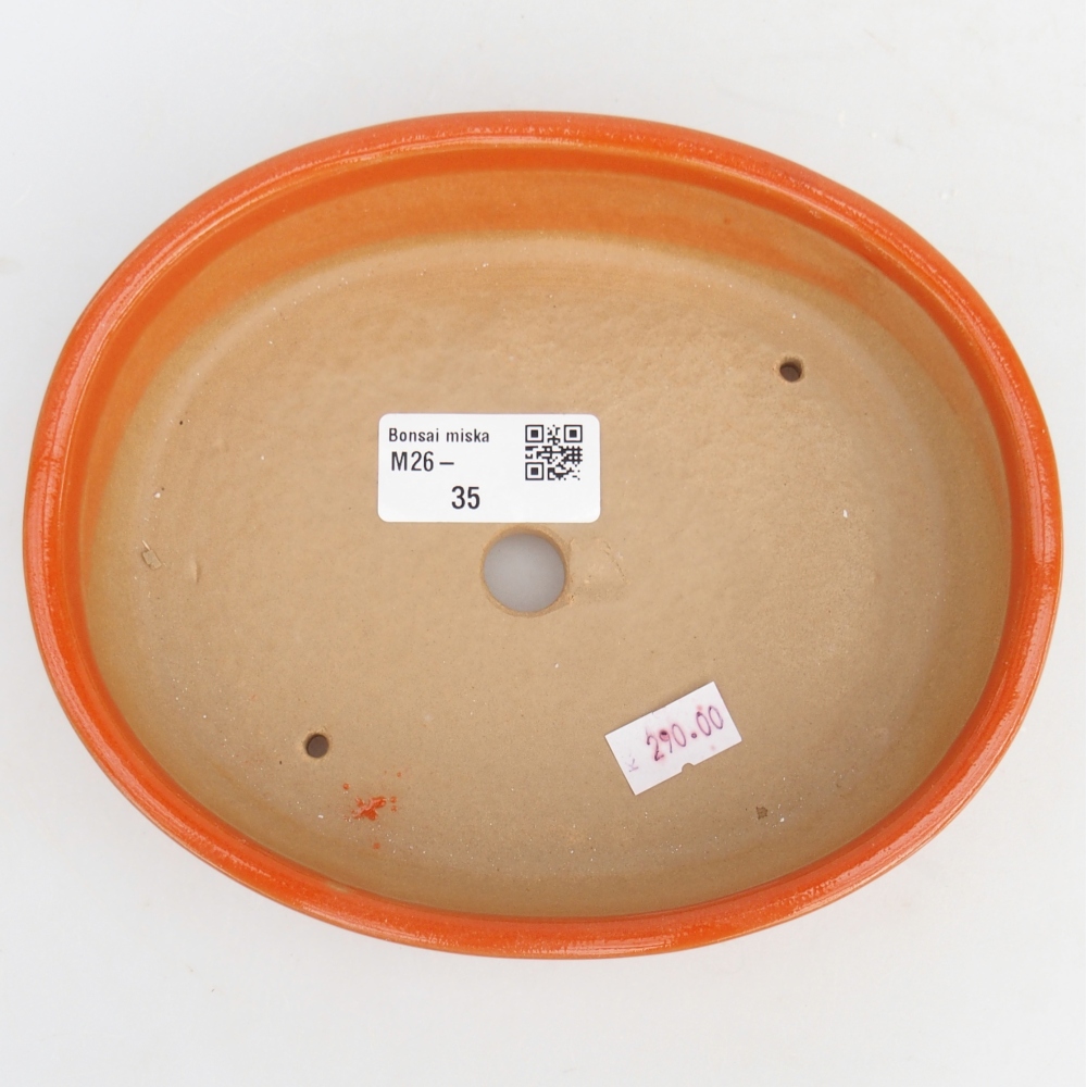 Bol à bonsaï en céramique 17 x 14 x 4 cm, orange