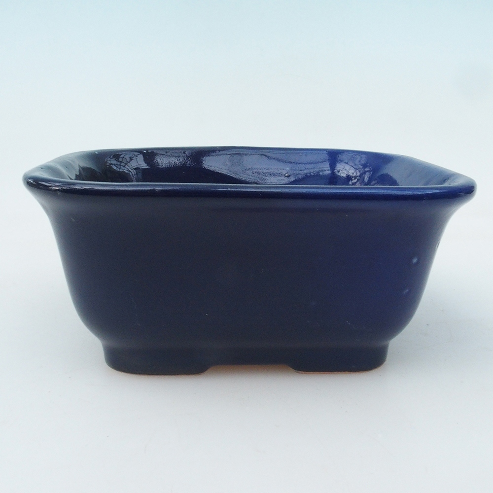 Coupe bonsaï H37 - 14,5 x 13 x 6,5 cm - bleu