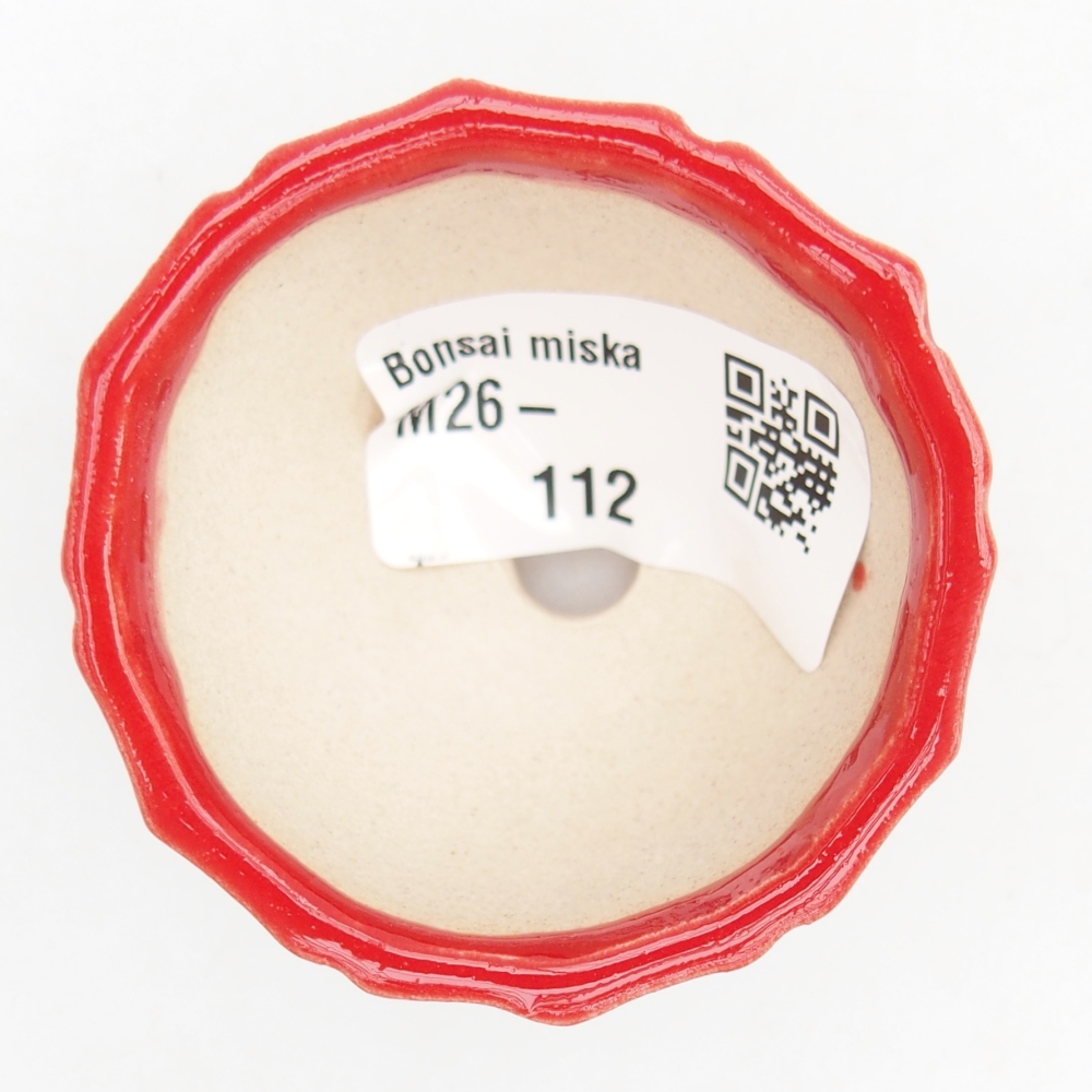 Mini bol bonsaï 5,5 x 5,5 x 3,5 cm, couleur rouge