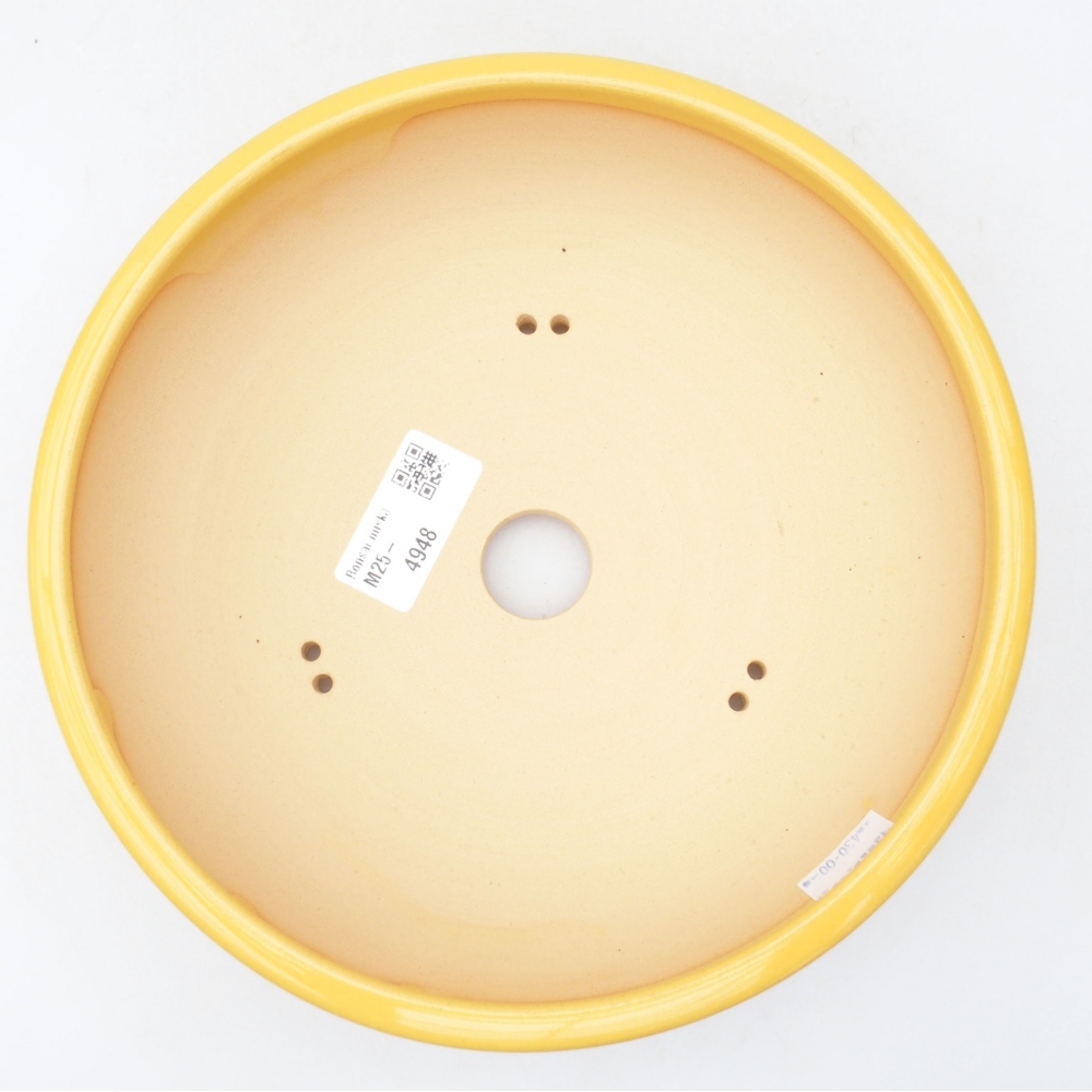 Bol à bonsaï en céramique 20,5 x 20,5 x 6 cm, jaune