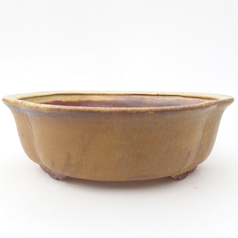 Bol à bonsaï en céramique 19 x 17 x 6 cm, vert