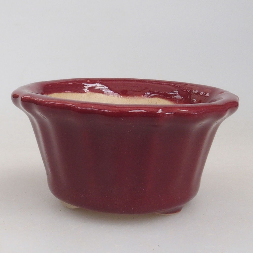 Mini bol bonsaï 5 x 5 x 2,5 cm, couleur bordeaux
