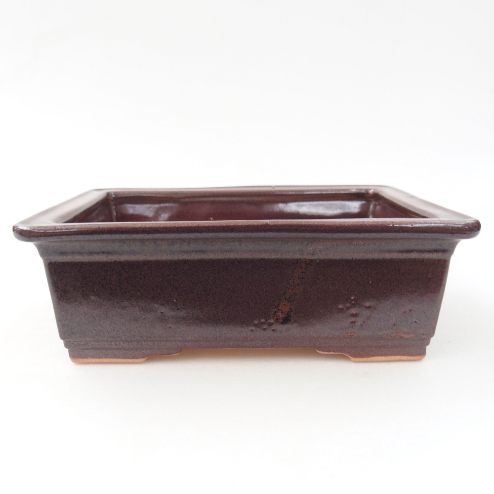 Bol à bonsaï en céramique 22 x 17 x 5 cm, vert