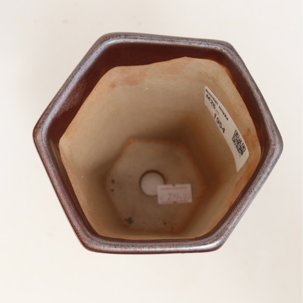 Pot à bonsaï en céramique 9,5 x 8,5 x 14 cm, couleur métallique