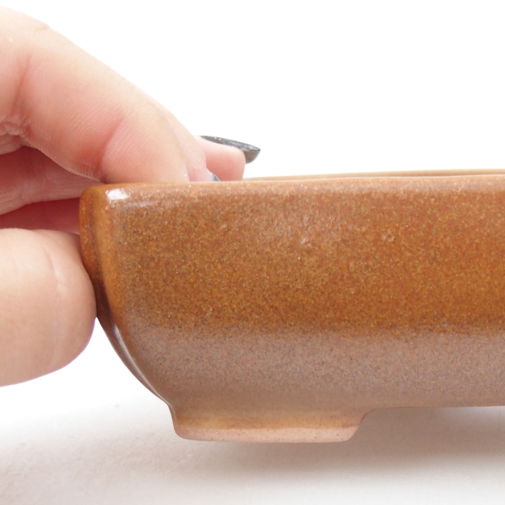 Bol à bonsaï en céramique 22 x 17 x 5 cm, vert