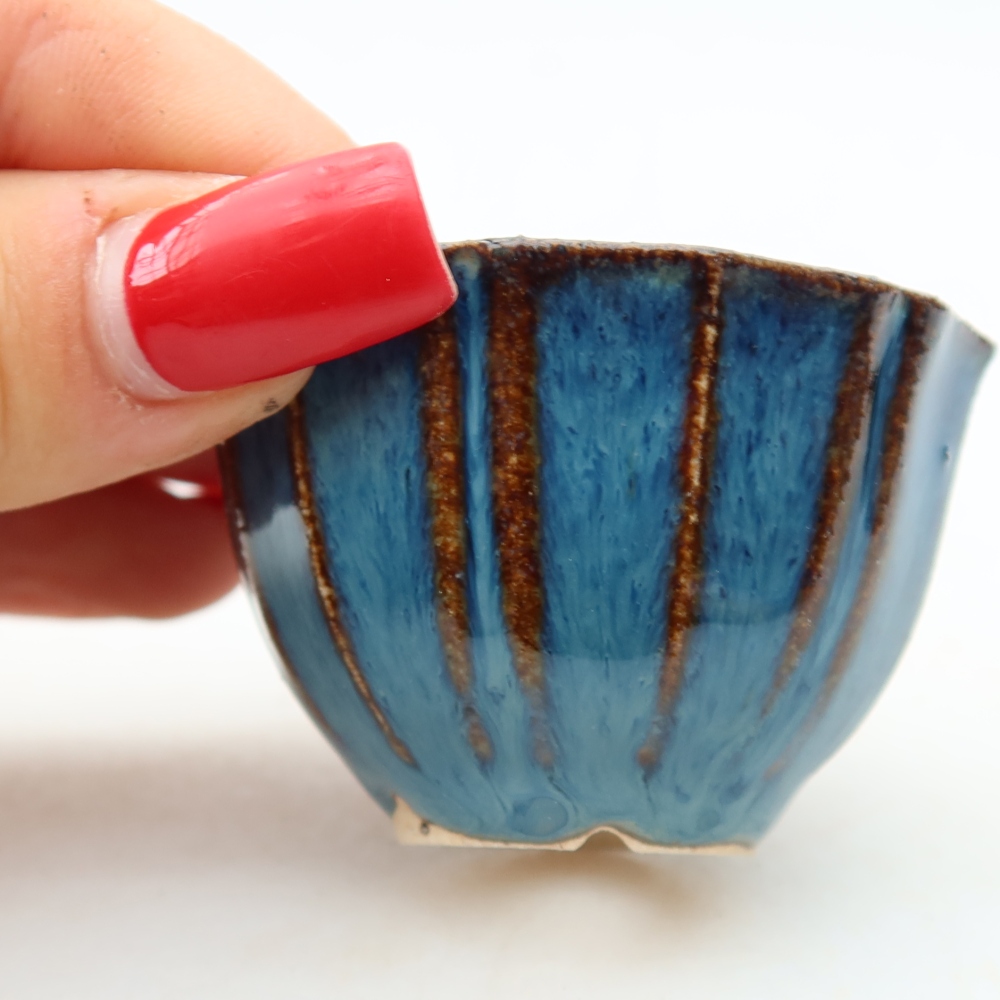 Pot à bonsaï en céramique 5,5 x 5,5 x 3,5 cm, couleur bleue