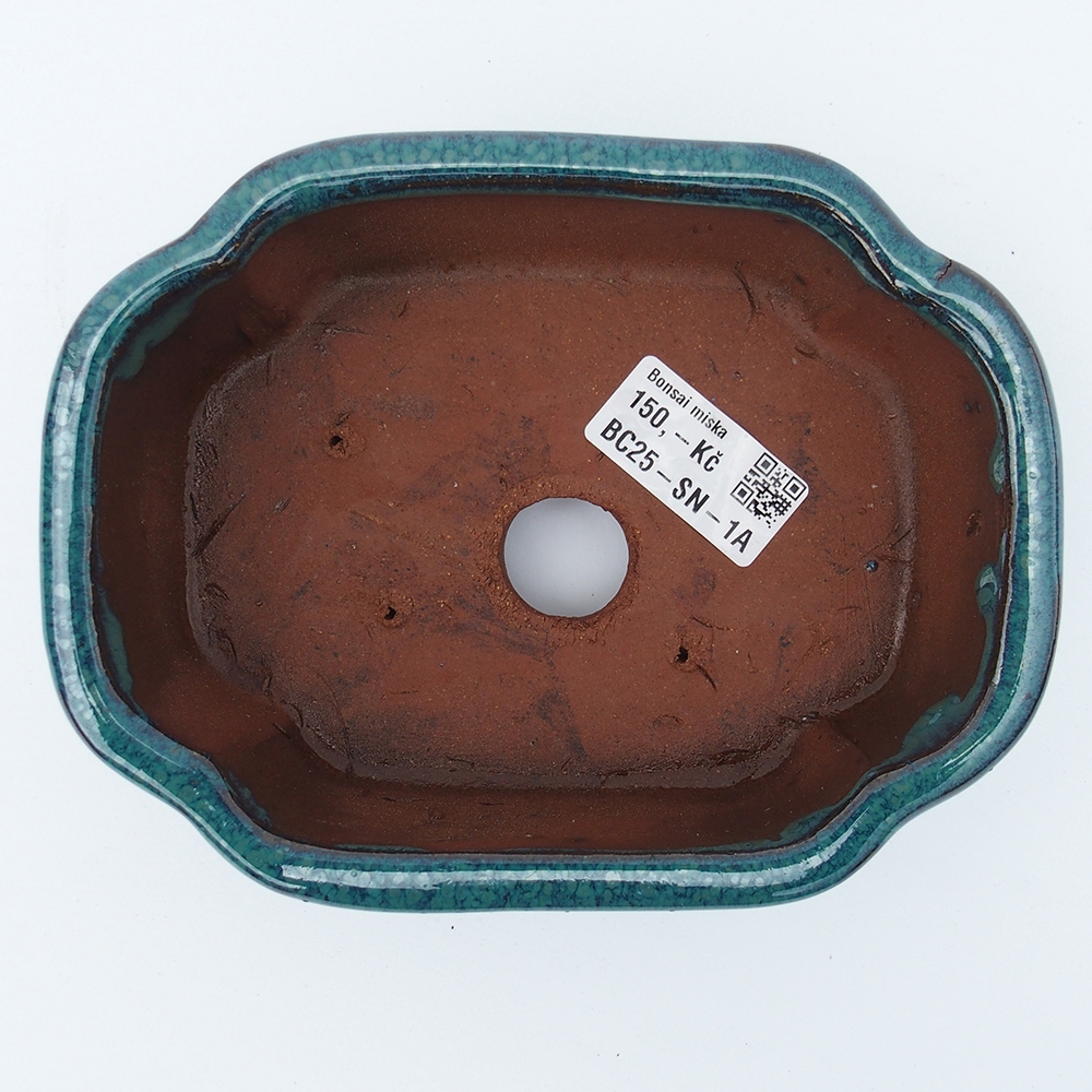 Bol 16 x 13 x 5,5 cm vert-bleu