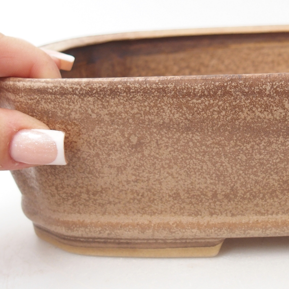 Bol à bonsaï en céramique 24,5 x 21,5 x 6,5 cm, couleur beige