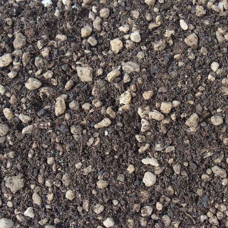 Bonsai Master Bonsai Master 2 litres