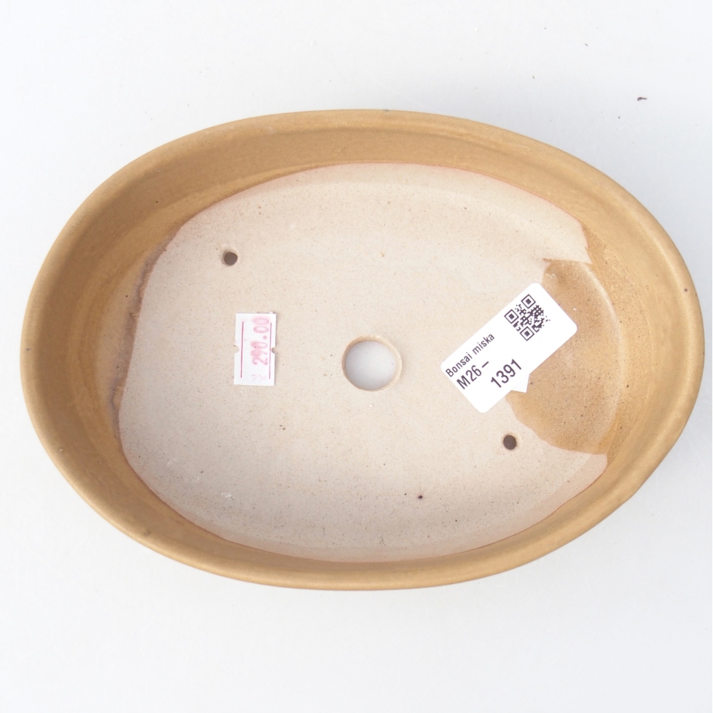 Bol à bonsaï en céramique 18,5 x 13,5 x 4,5 cm, couleur beige