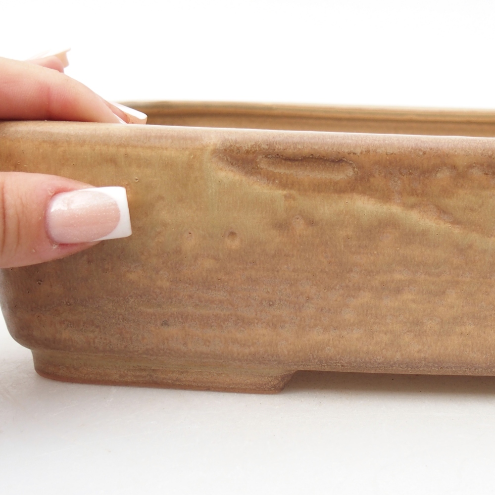 Bol à bonsaï en céramique 26,5 x 20,5 x 6,5 cm, couleur beige