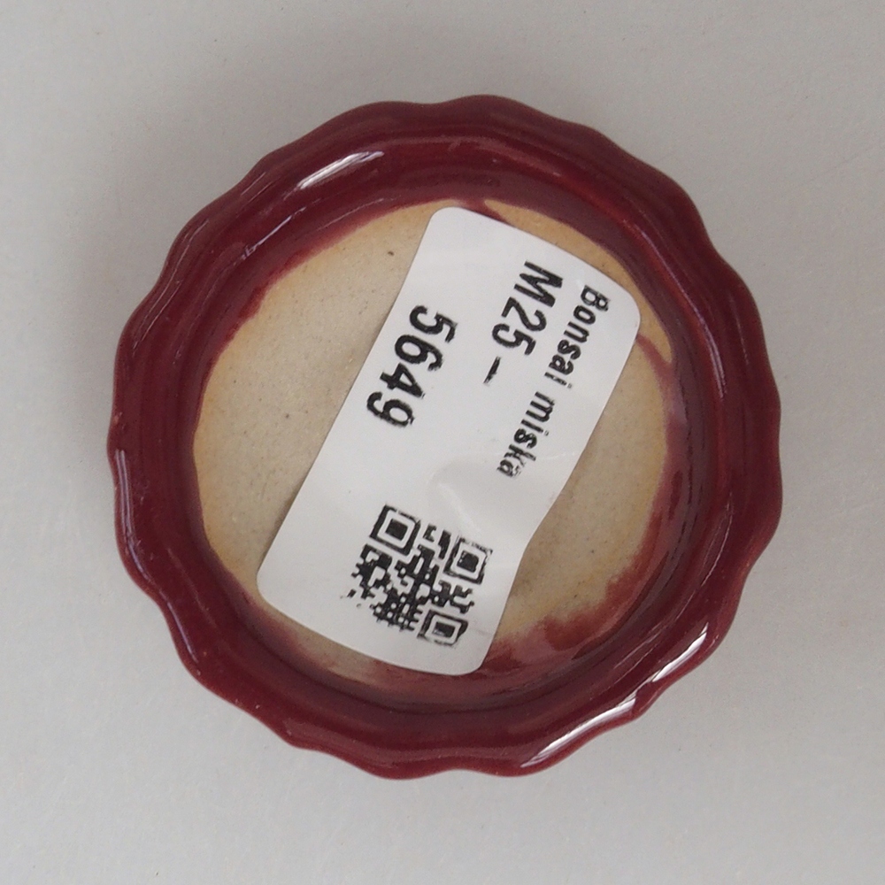 Mini bol bonsaï 5 x 5 x 1,5 cm, couleur bordeaux