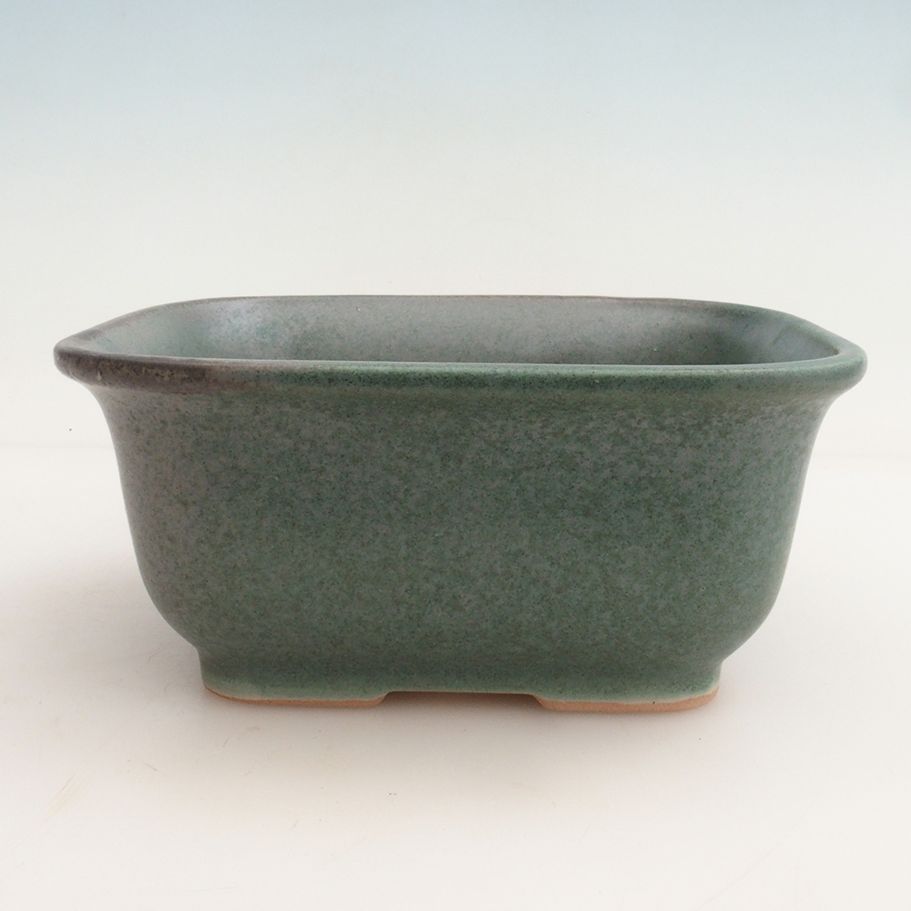 Bol Bonsaï + soucoupe H36 - 17 x 15 x 7,5 cm - vert