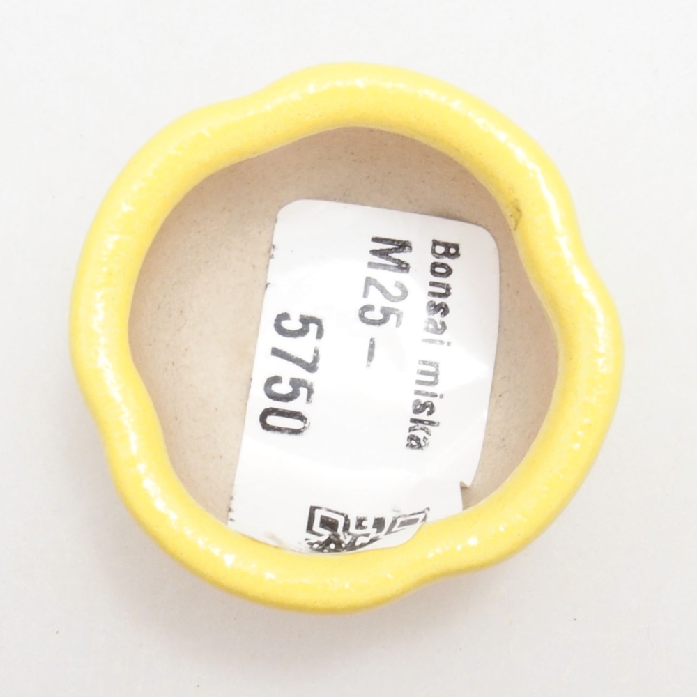 Bol à bonsaï en céramique 4 x 4 x 2 cm, jaune